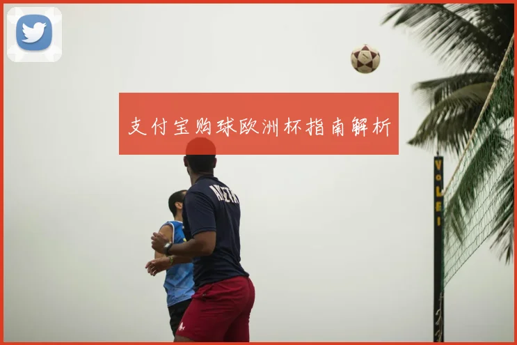 支付宝购球欧洲杯指南解析