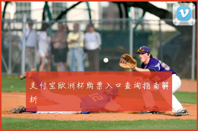 支付宝欧洲杯购票入口查询指南解析