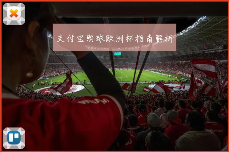 支付宝购球欧洲杯指南解析